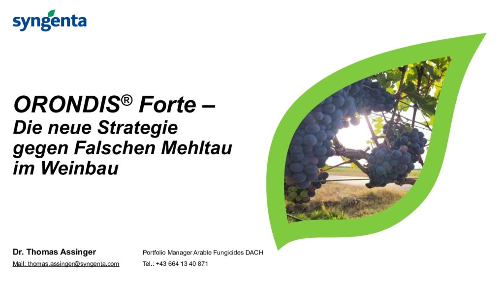 thumbnail of Assinger_Orondis Forte