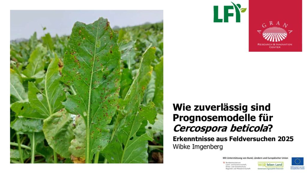 thumbnail of Cercospora-Prognosemodelle P-Schutztage WI 2025