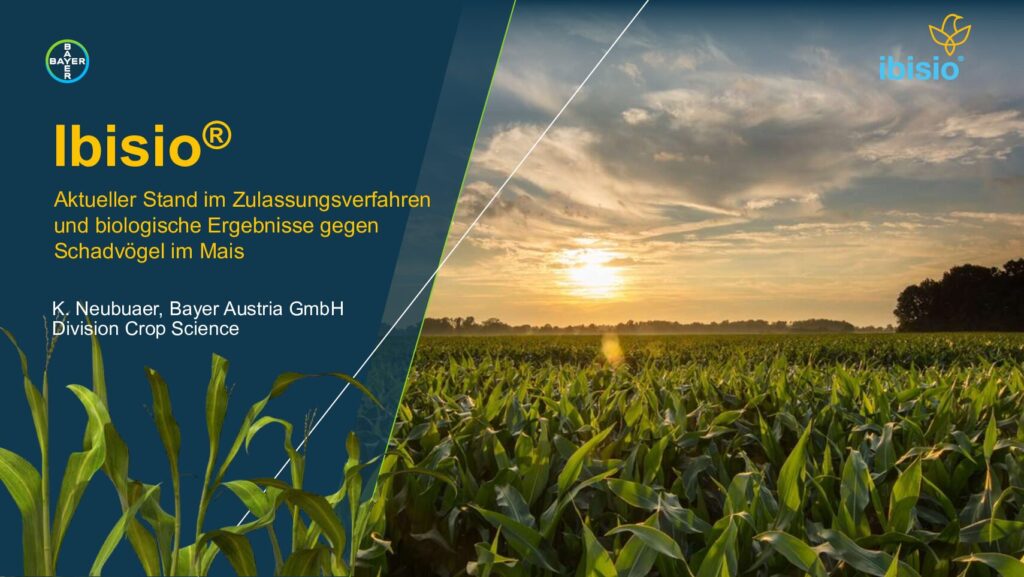 thumbnail of Ibisio__Ossiach Pflanzenschutztage 2025_Neubauer