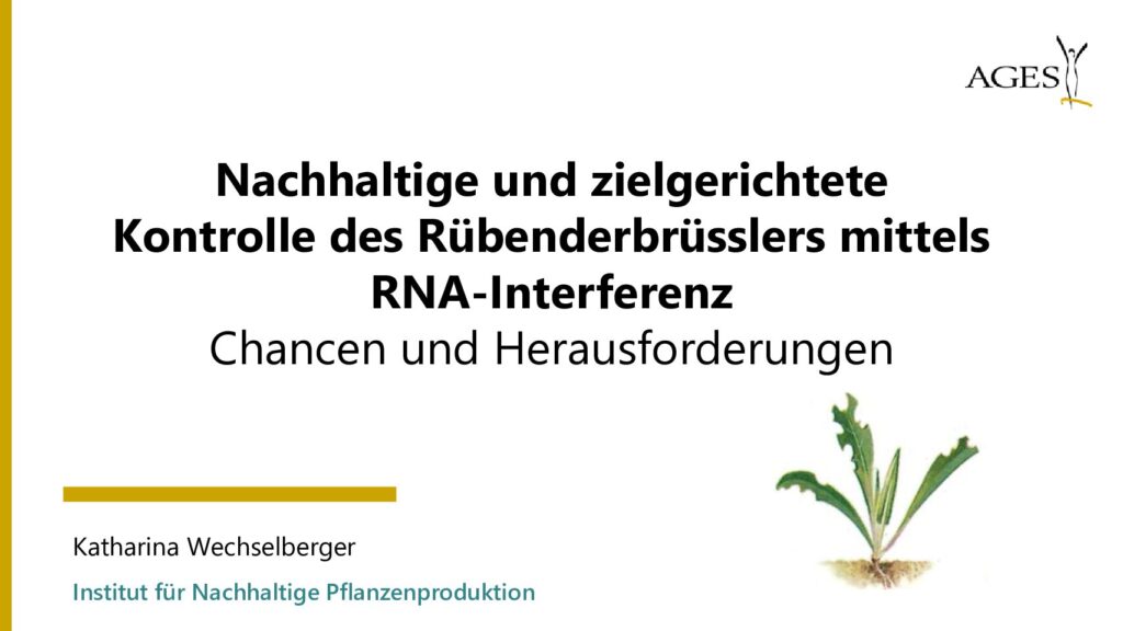 thumbnail of Nachhaltige und zielgerichtete Kontrolle des Rübenderbrüsslers_Wechselberger
