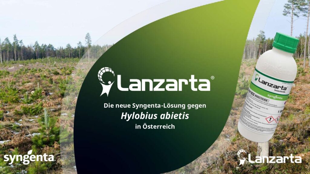thumbnail of OEIAP_Lanzarta