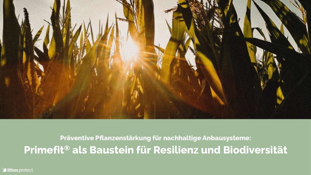 thumbnail of Primefit_AT-Pflanzenschutztage 2025