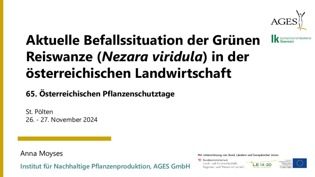 thumbnail of Aktuelle Befallssituation der Grünen Reiswanze (Nezara viridula) in der österreichischen Landwirtschaft