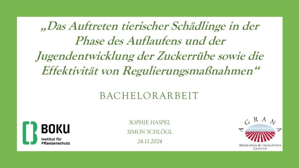 thumbnail of Das Auftreten tierischer Schädlinge in der Phase des Auflaufens und der Jugendentwicklung der Zuckerrübe sowie die Effektivität von Regulierungsmaßnahmen
