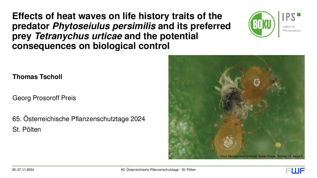 thumbnail of Effects of heat waves on life history traits of the predator Phytoseiulus persimilis and its preferred prey Tetranychus urticae and …