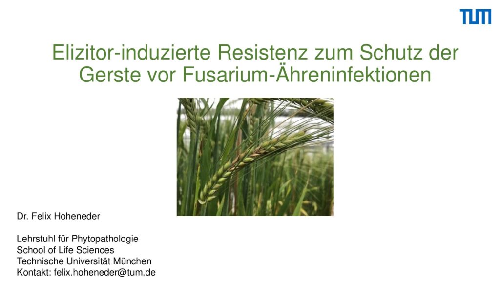 thumbnail of Elizitor-induzierte Resistenz zum Schutz der Gerste vor Fusarium-Ähreninfektionen