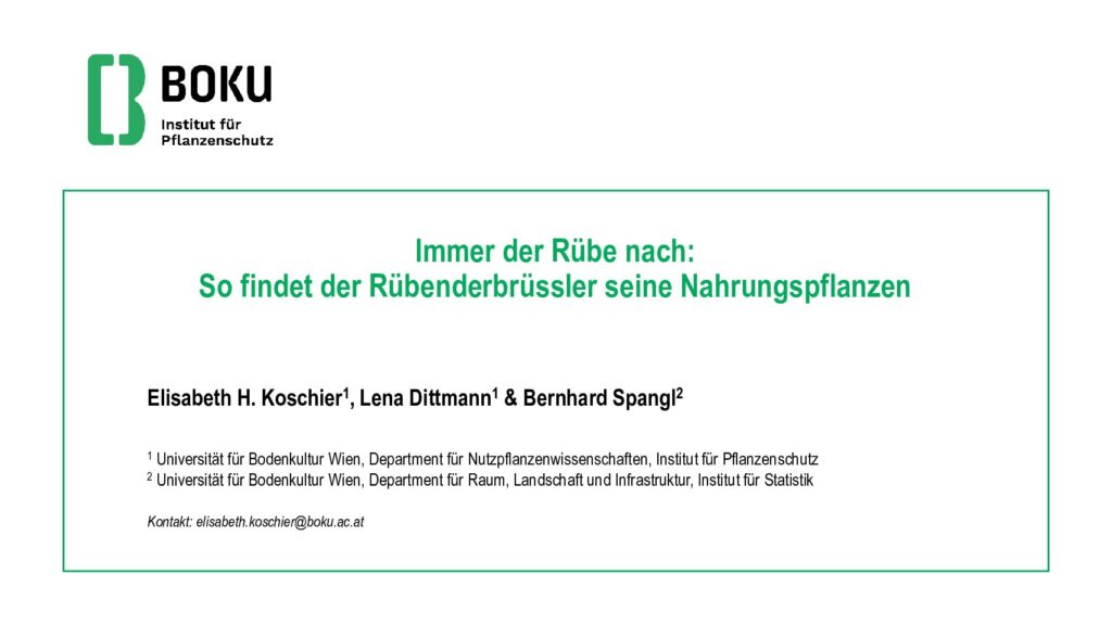 thumbnail of Immer der Rübe nach_So findet der Rübenderbrüssler seine Nahrungspflanzen
