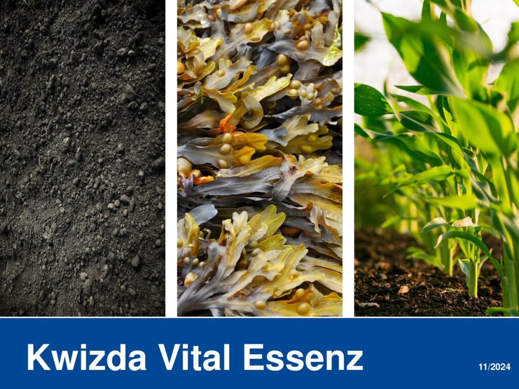 thumbnail of Kwizda Vital Essenz