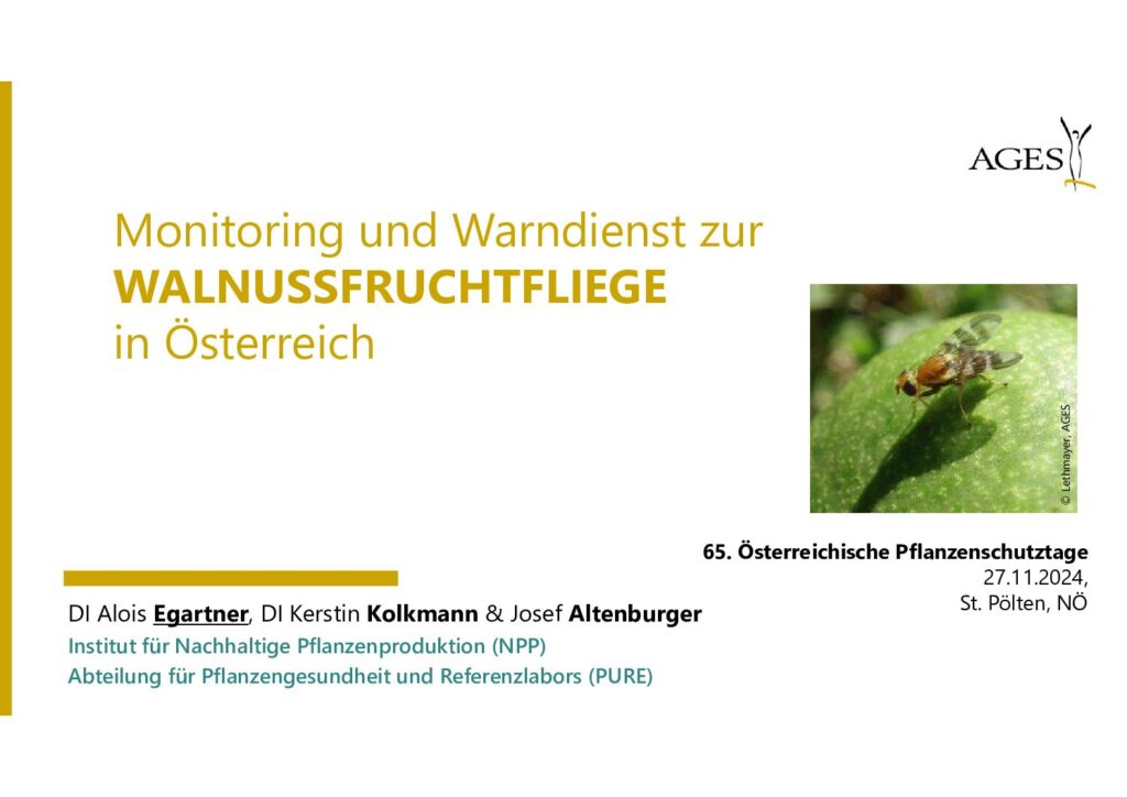 thumbnail of Monitoring und Warndienst zur Walnussfruchtfliege in Österreich