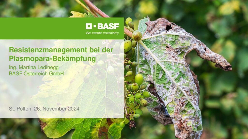 thumbnail of Resistenzmanagement bei der Plasmopara-Bekämpfung