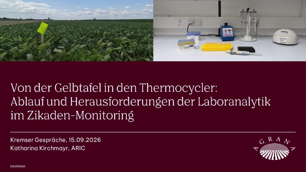 thumbnail of 2_Von der Gelbtafel in den PCR-Cycler Ablauf und Herausforderungen der Laboranalytik im Zikaden-Monitoring