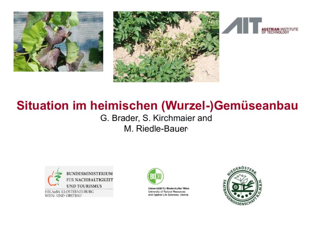thumbnail of 4_Situation im heimischen (Wurzel-)Gemüseanbau