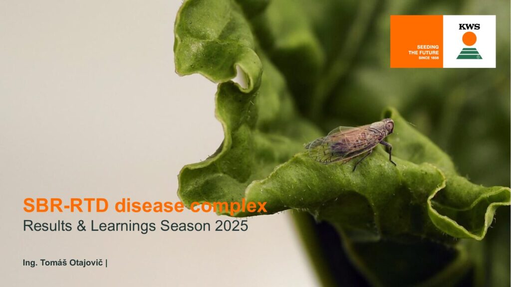 thumbnail of 7_The monitoring situation of cicadas and SBRRTD disease in sugar beet in Slovakia